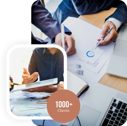 smgconsulting profile